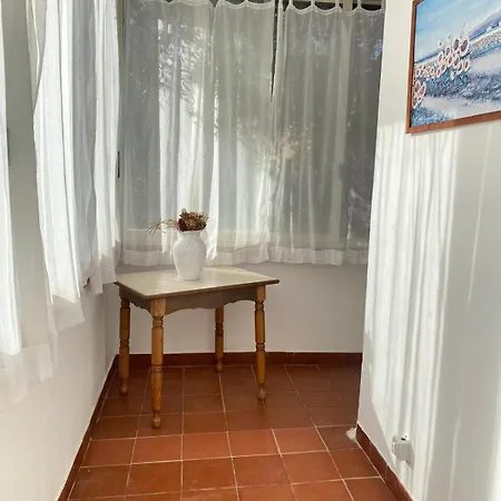 Elicriso * San Pantaleo